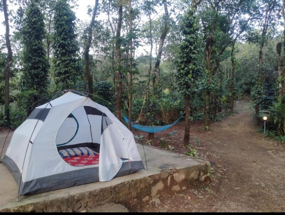 Tharayil Farm Stay Вагамон Экстерьер фото