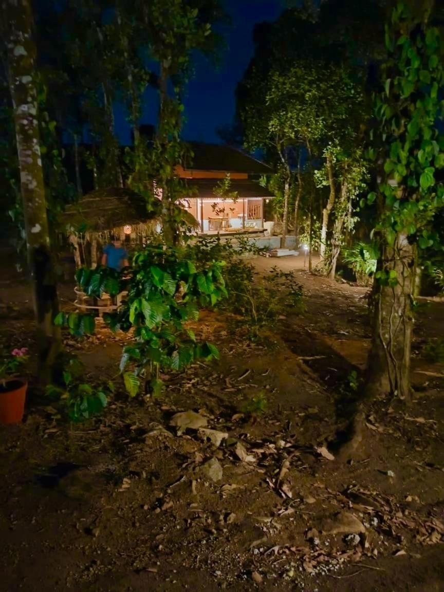 Tharayil Farm Stay Вагамон Экстерьер фото